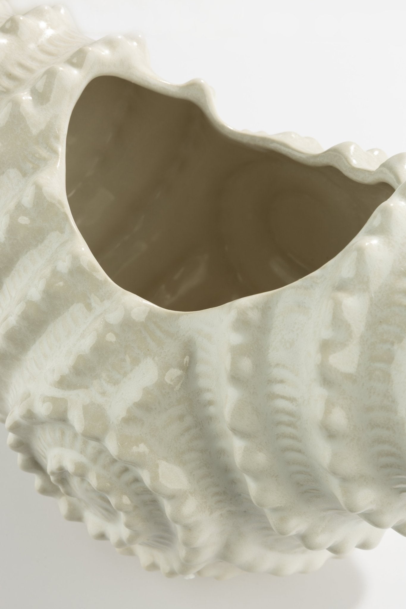 Conchiglia - Casa Vincenzo Casa Vincenzo