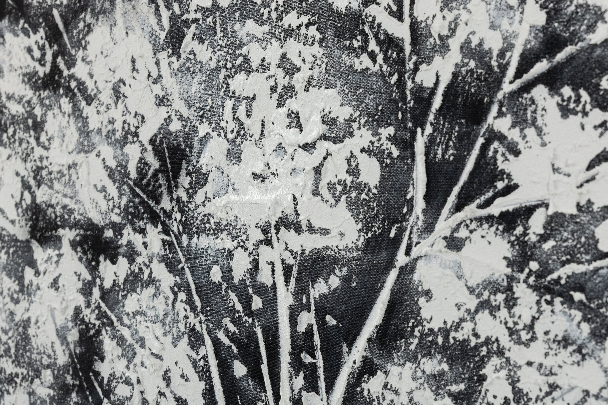 Radice - Casa Vincenzo Casa Vincenzo