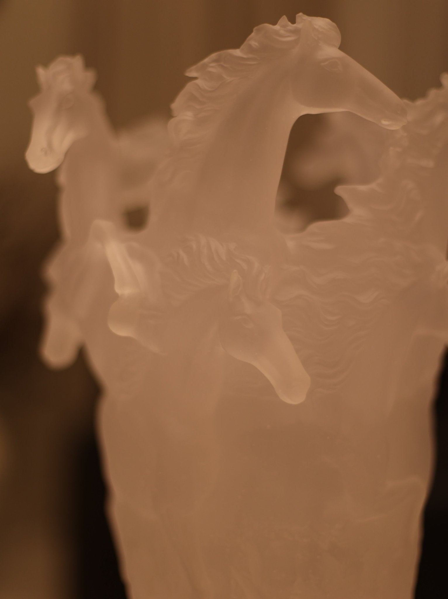 Cavallo Bianco - Casa Vincenzo Casa Vincenzo