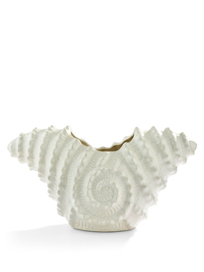 Conchiglia - Casa Vincenzo Casa Vincenzo