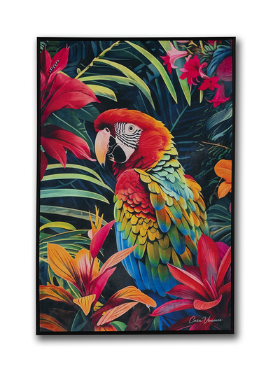 Arcobaleno - Casa Vincenzo Casa Vincenzo