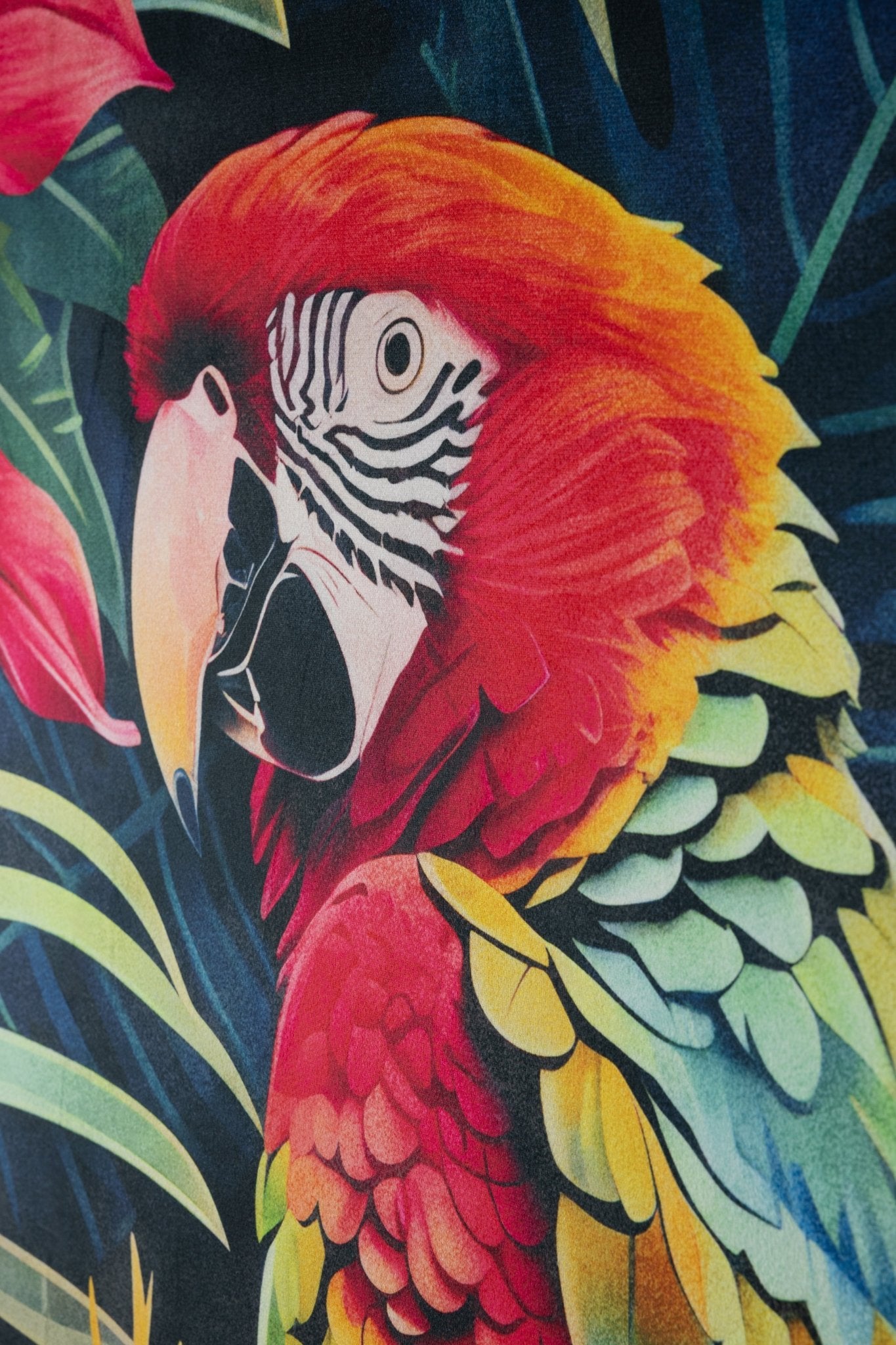 Arcobaleno - Casa Vincenzo Casa Vincenzo